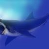10 Facts About the Biggest Shark Ever Existed